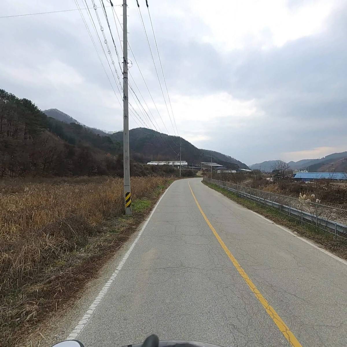 장터동물농장_2