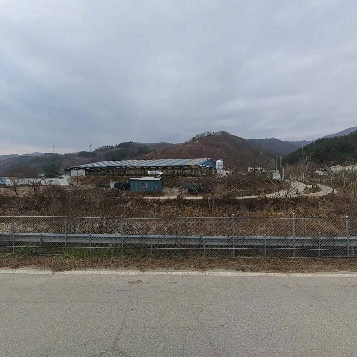 장터동물농장_3