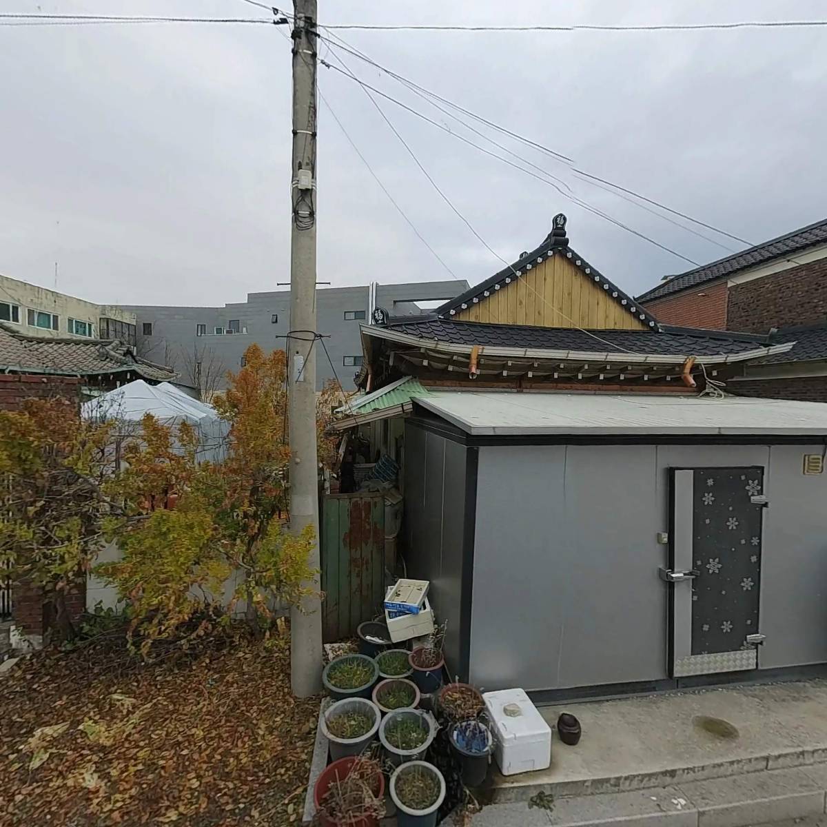 고물나라_3