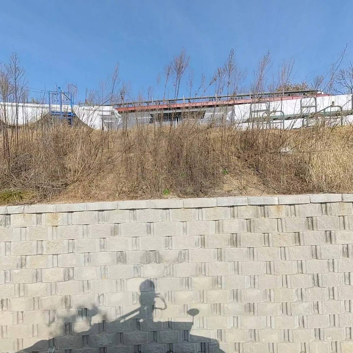 라윤지