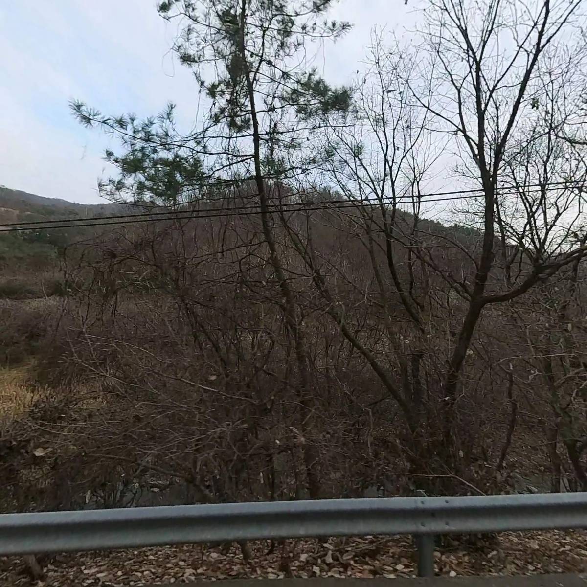 씨에이치글로벌