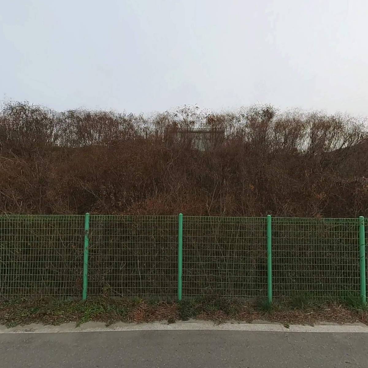 주식회사 미래_3