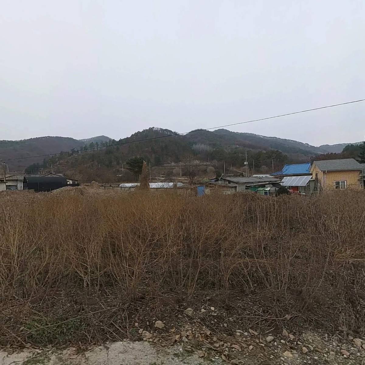 신포중학교