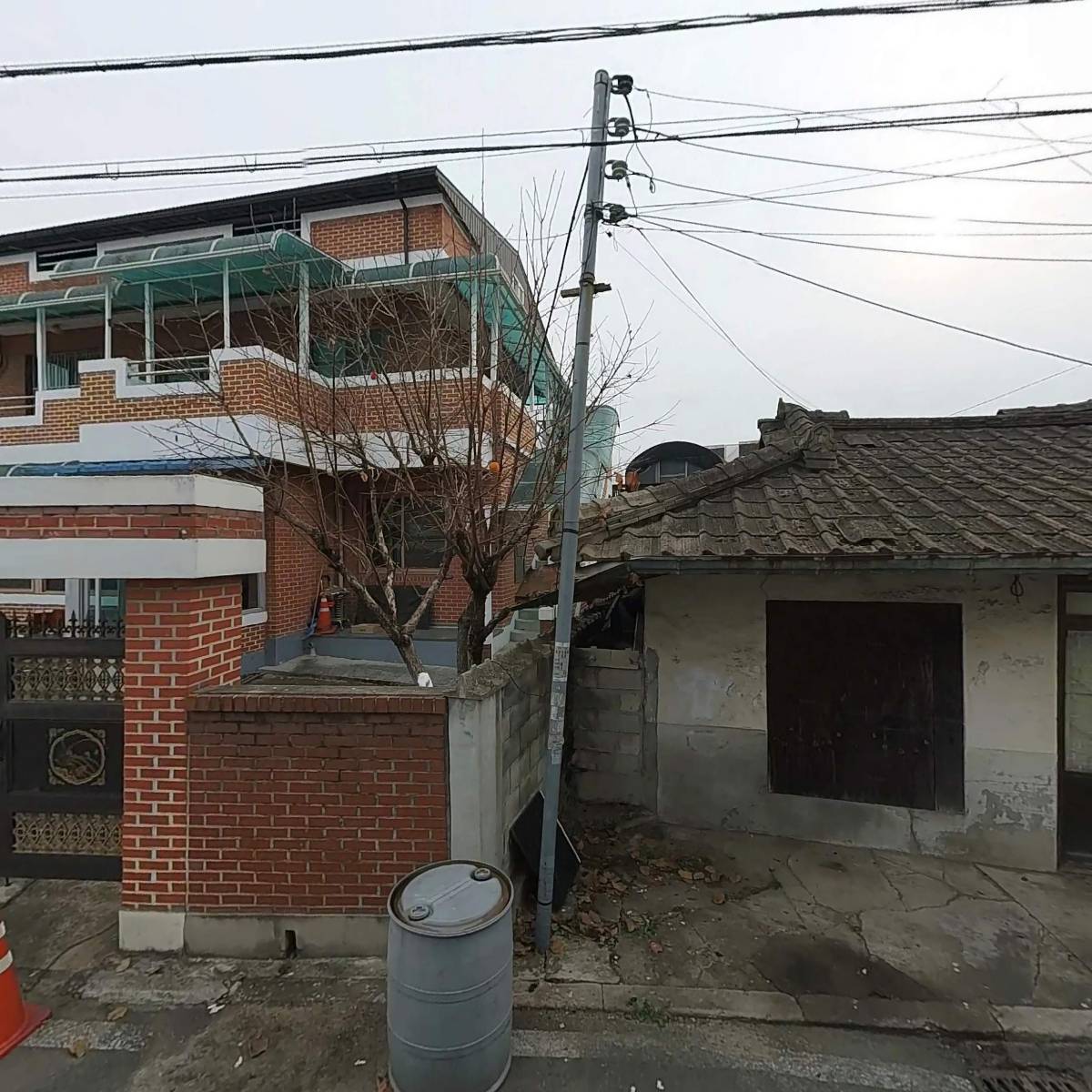 벨로즈