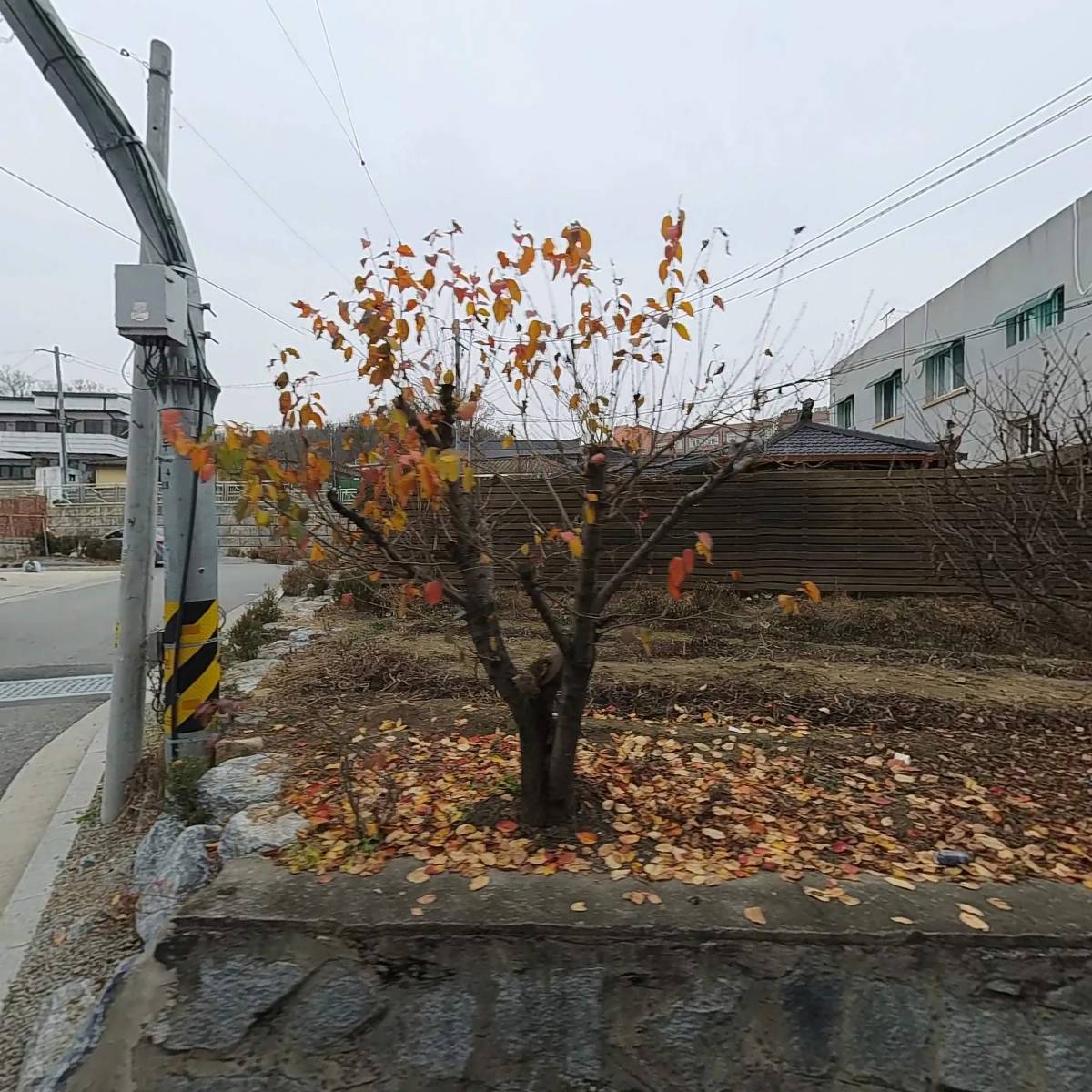 (주)현대프라자_3