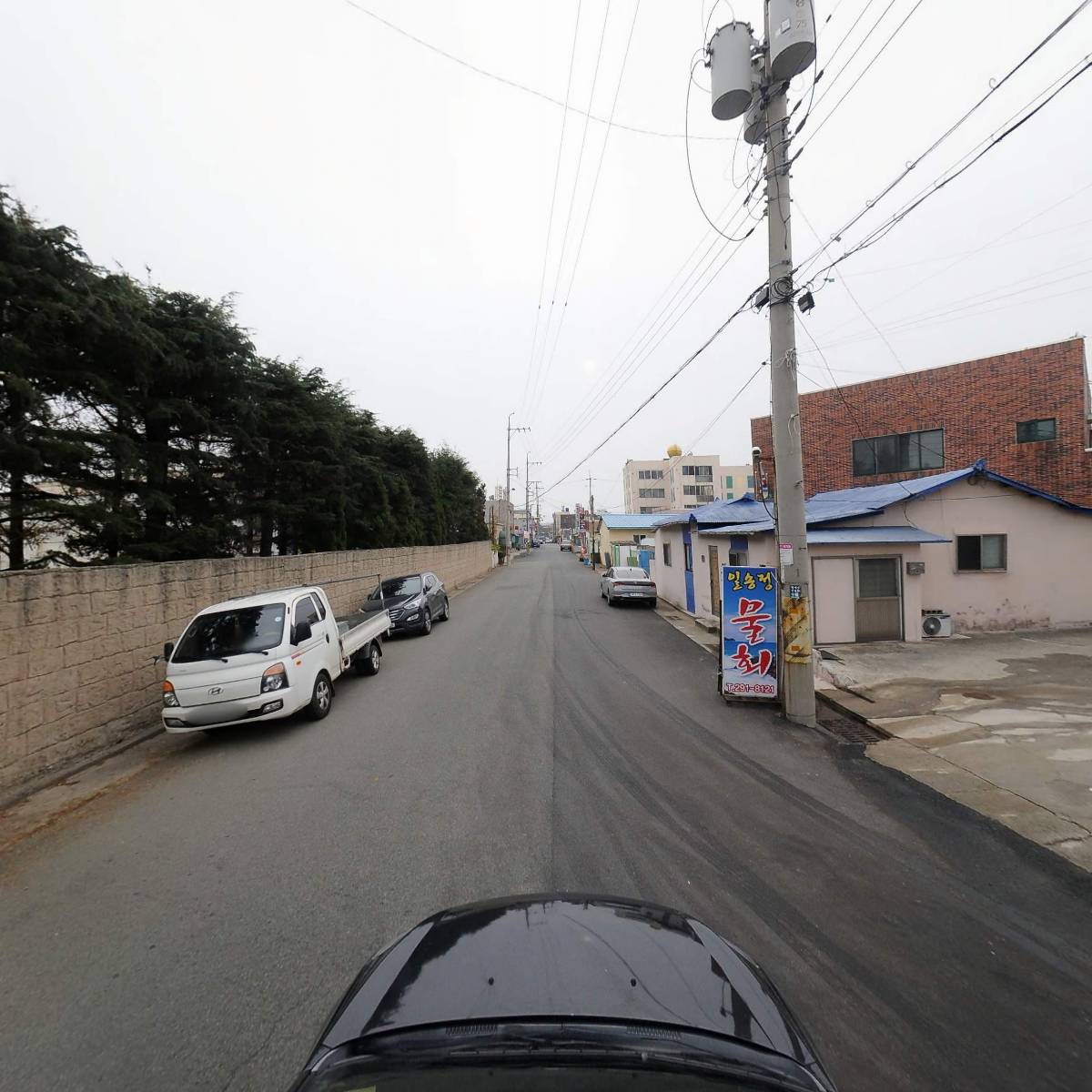 일송정물회_4