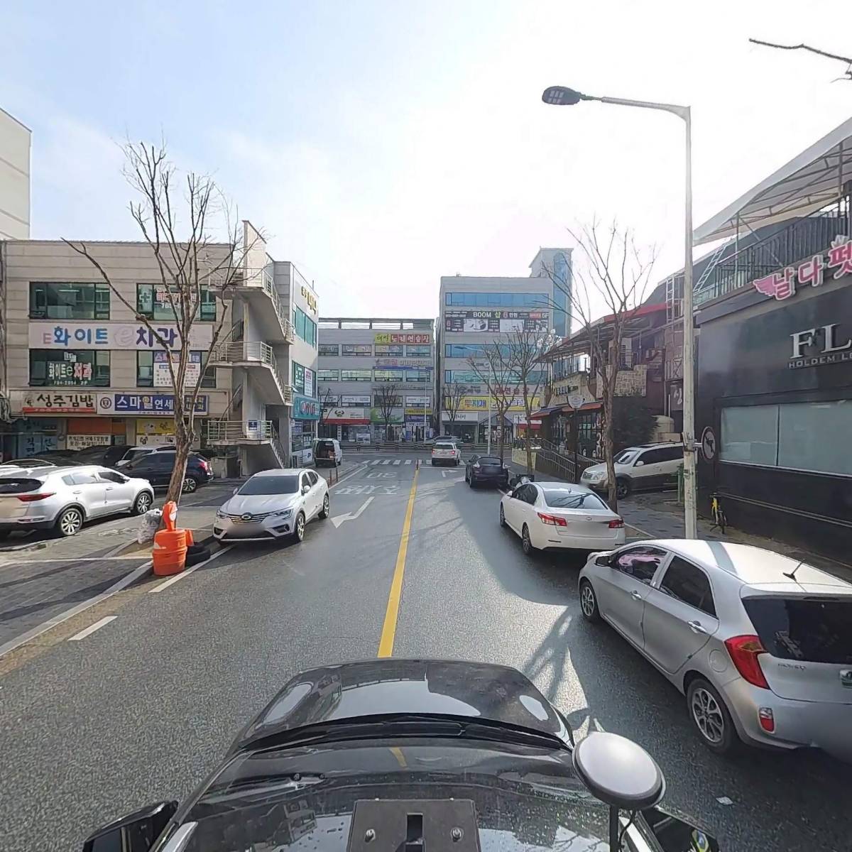 원주애견미용학원_4