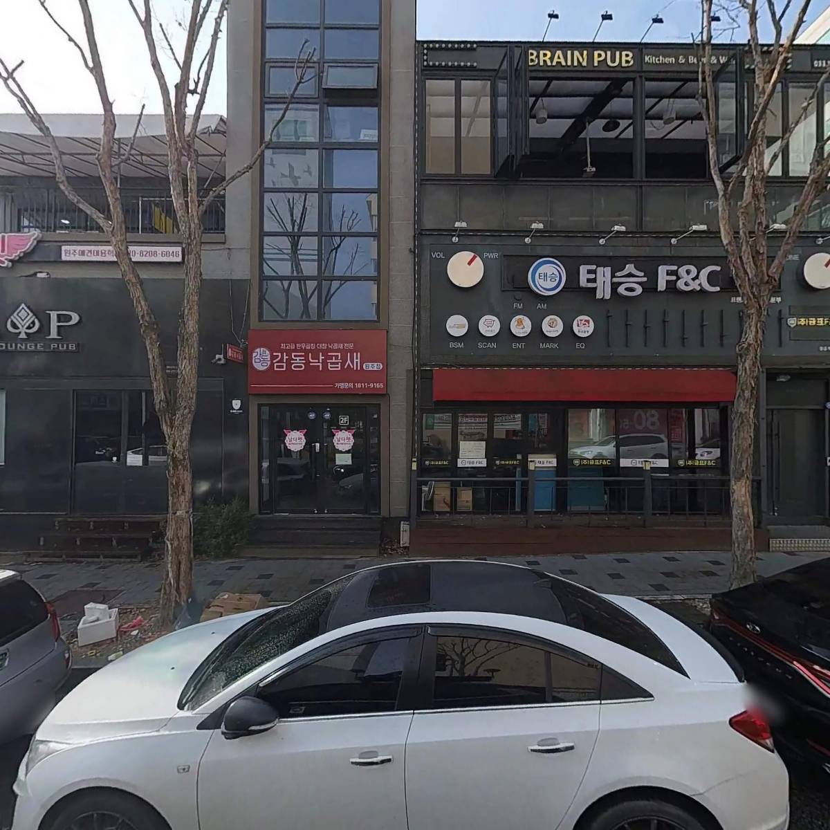 원주애견미용학원