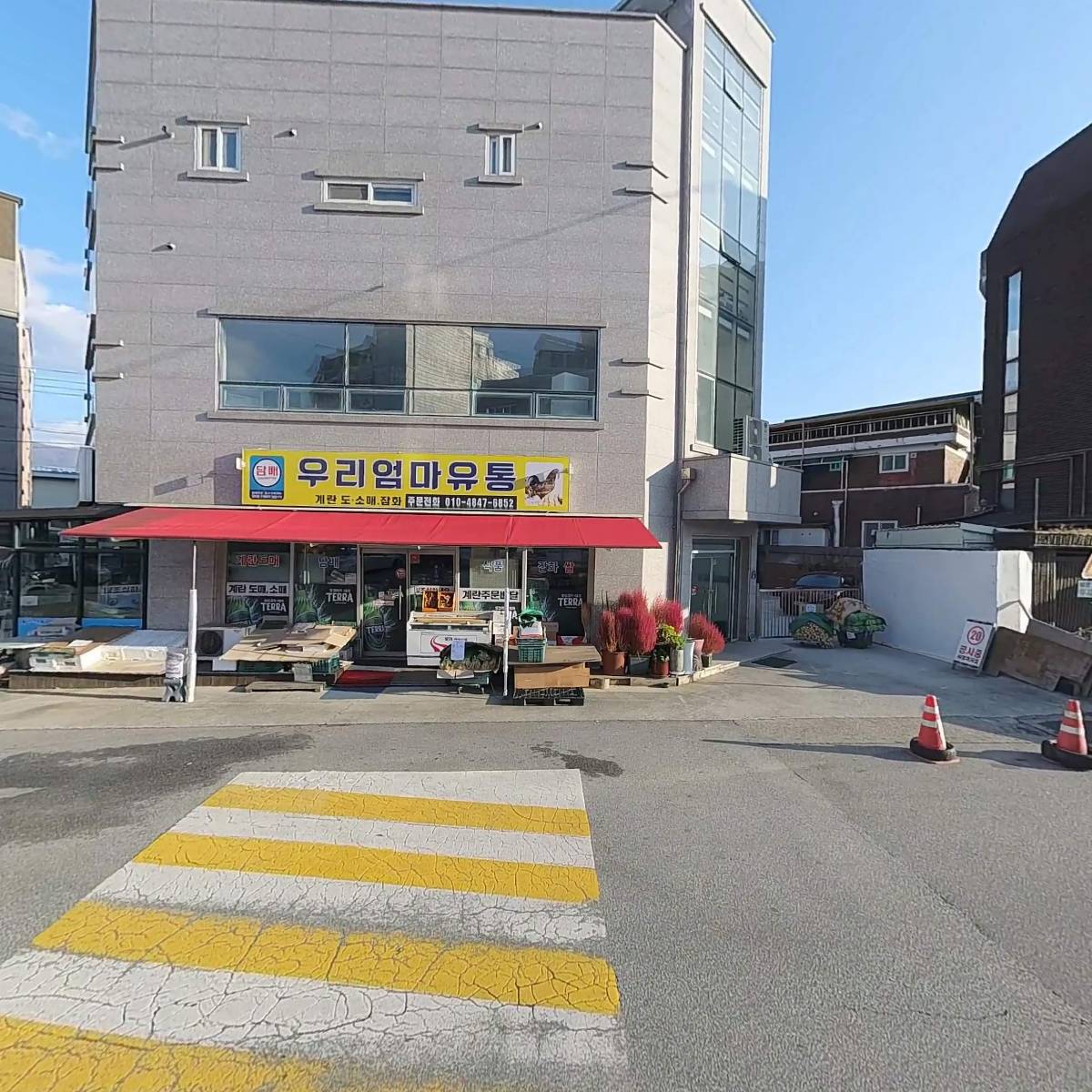백유_3