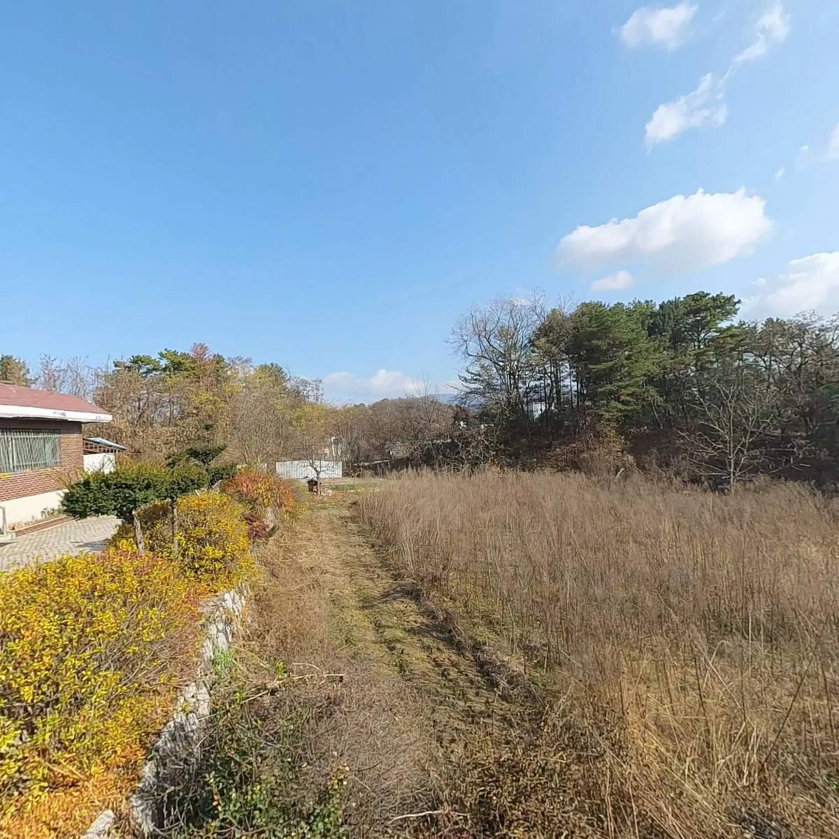 굴마을춘천강남점