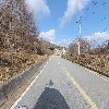강촌 산나물 농원_2