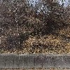강촌 산나물 농원