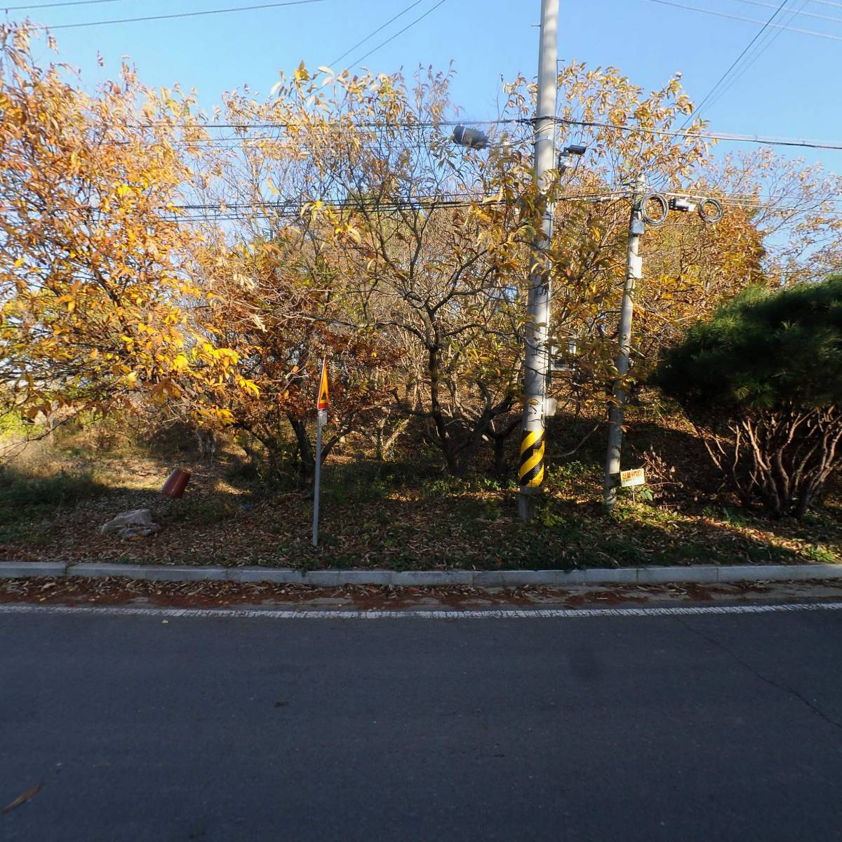 그곳에반하다팬션_3