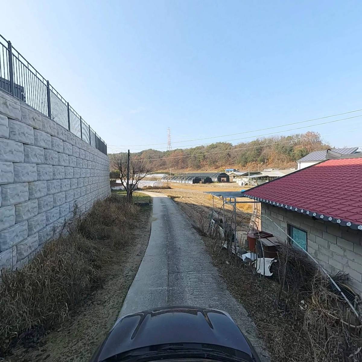 강동동물병원_4