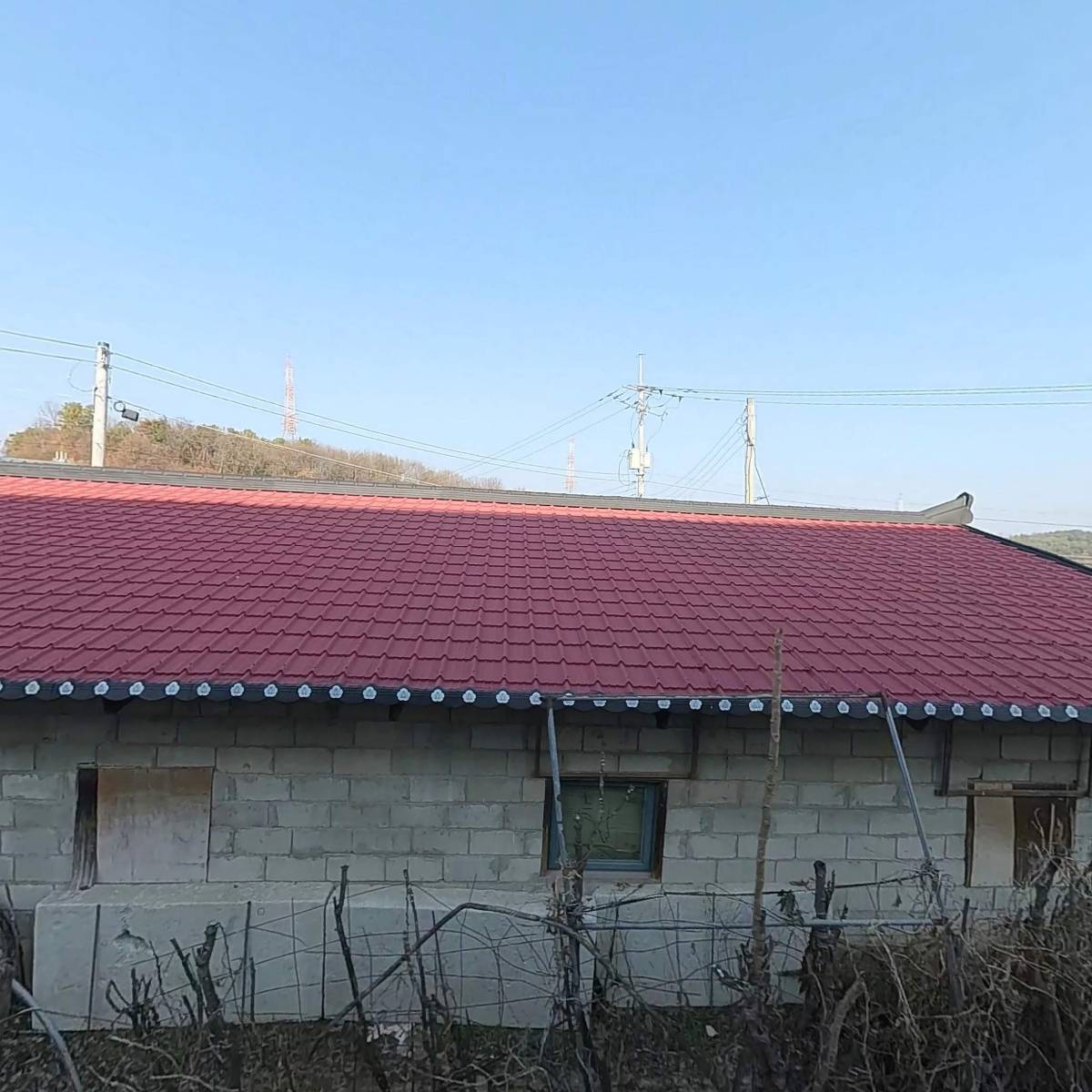 강동동물병원