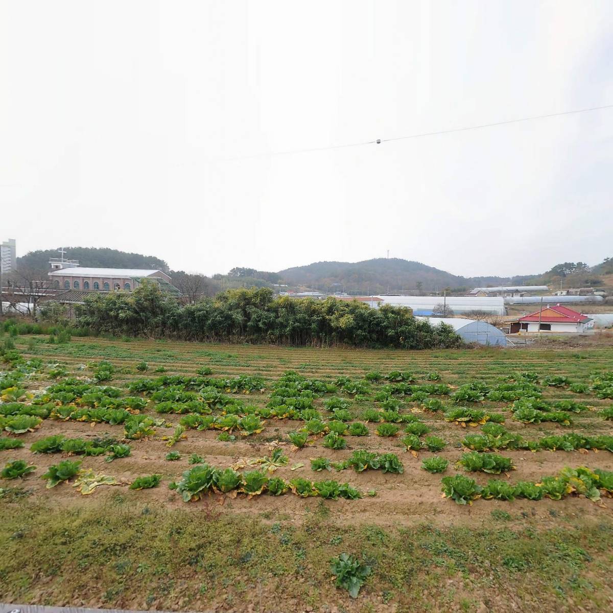 한국불교태고종 광덕사