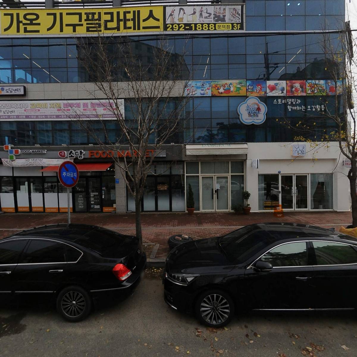 바다나무 잉글리시