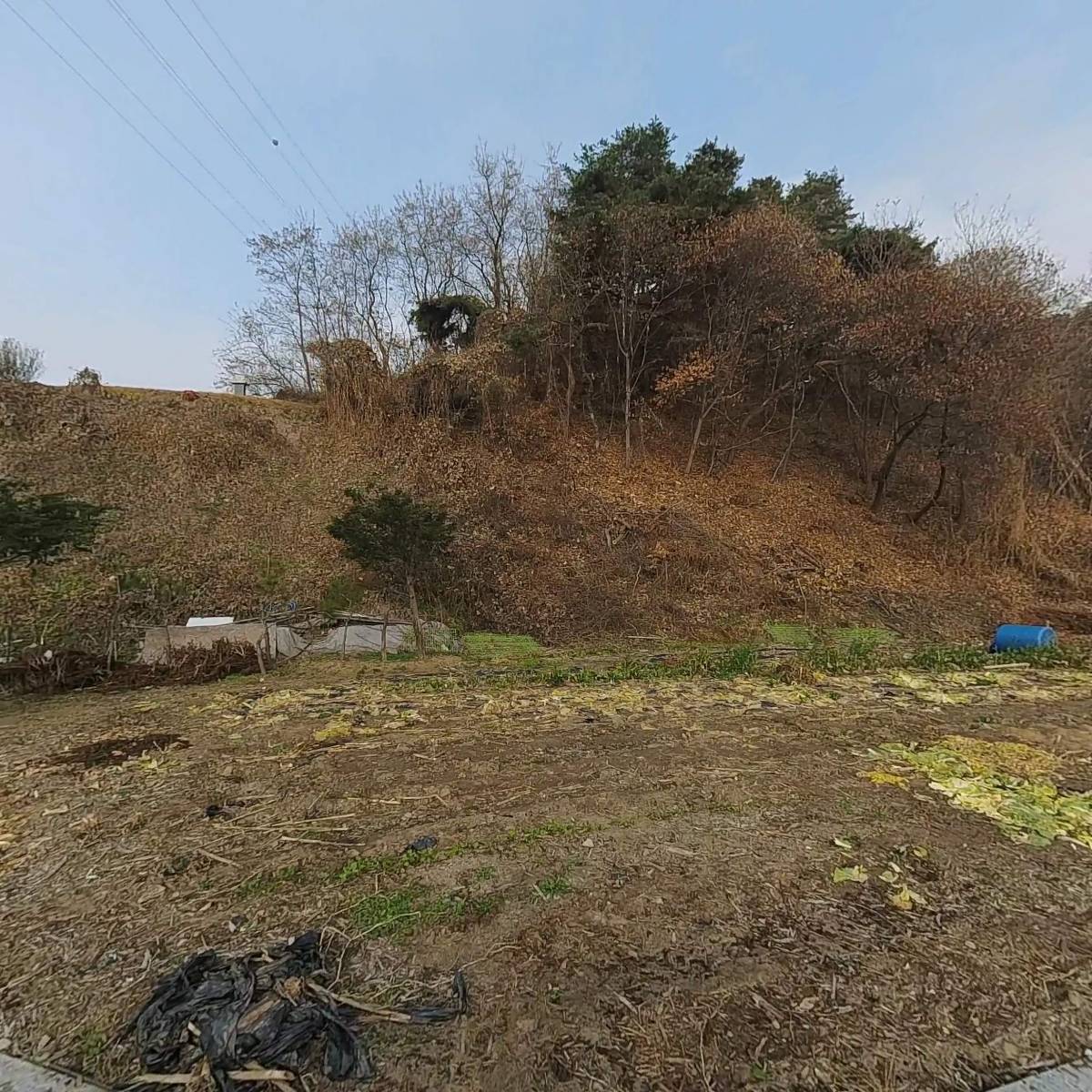 드림팩토리 주식회사_3