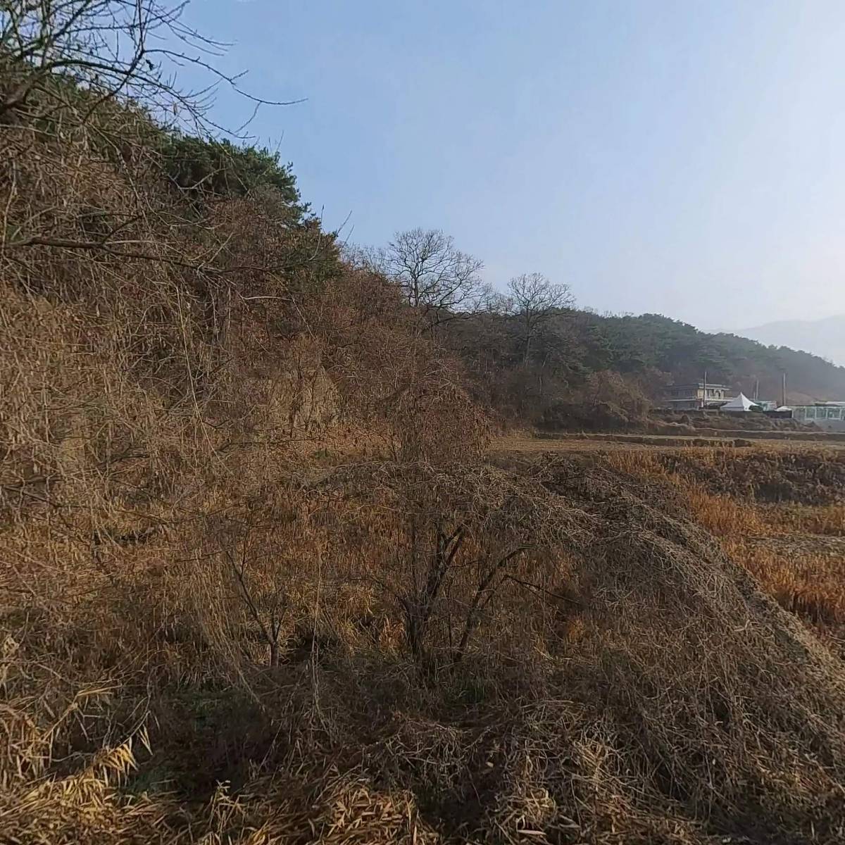 아이누리