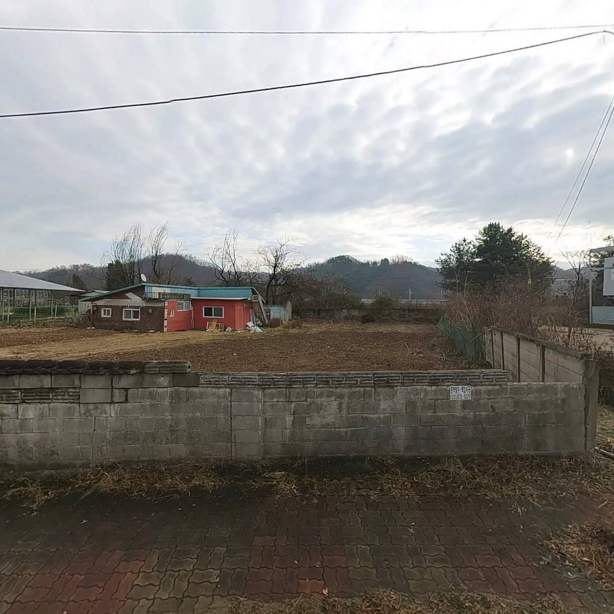 오피스코이