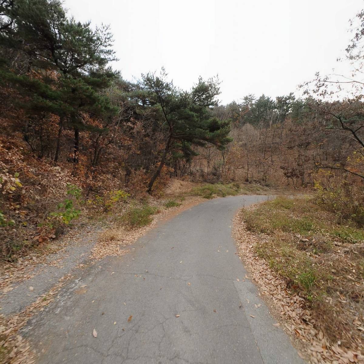 주식회사 태극식품_2