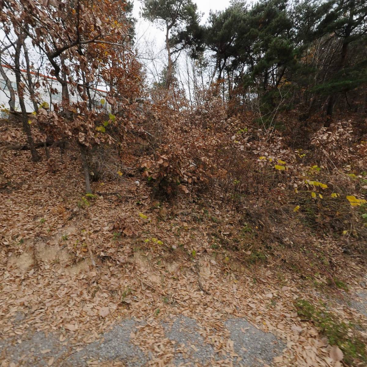 주식회사 태극식품