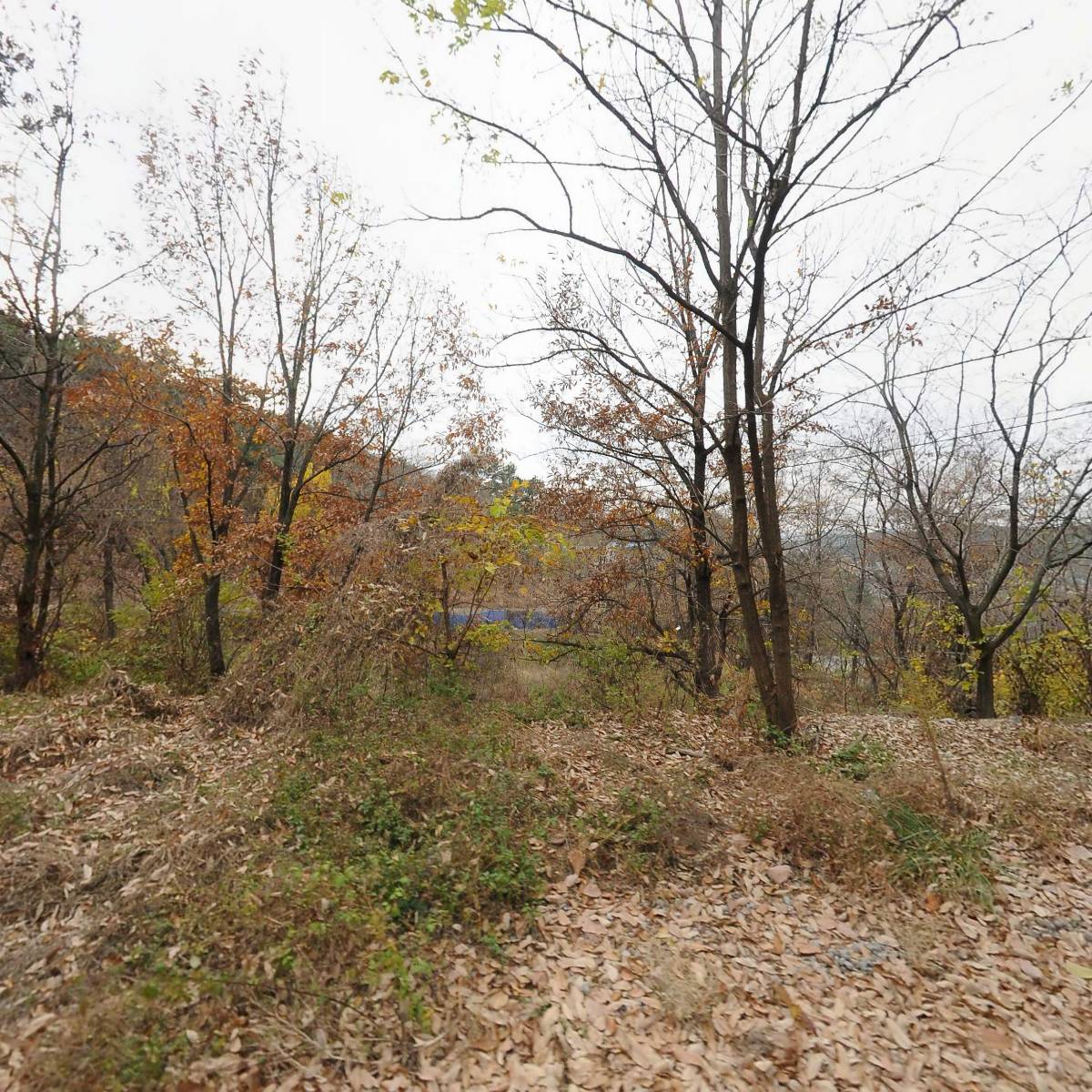 주식회사 태극식품_3