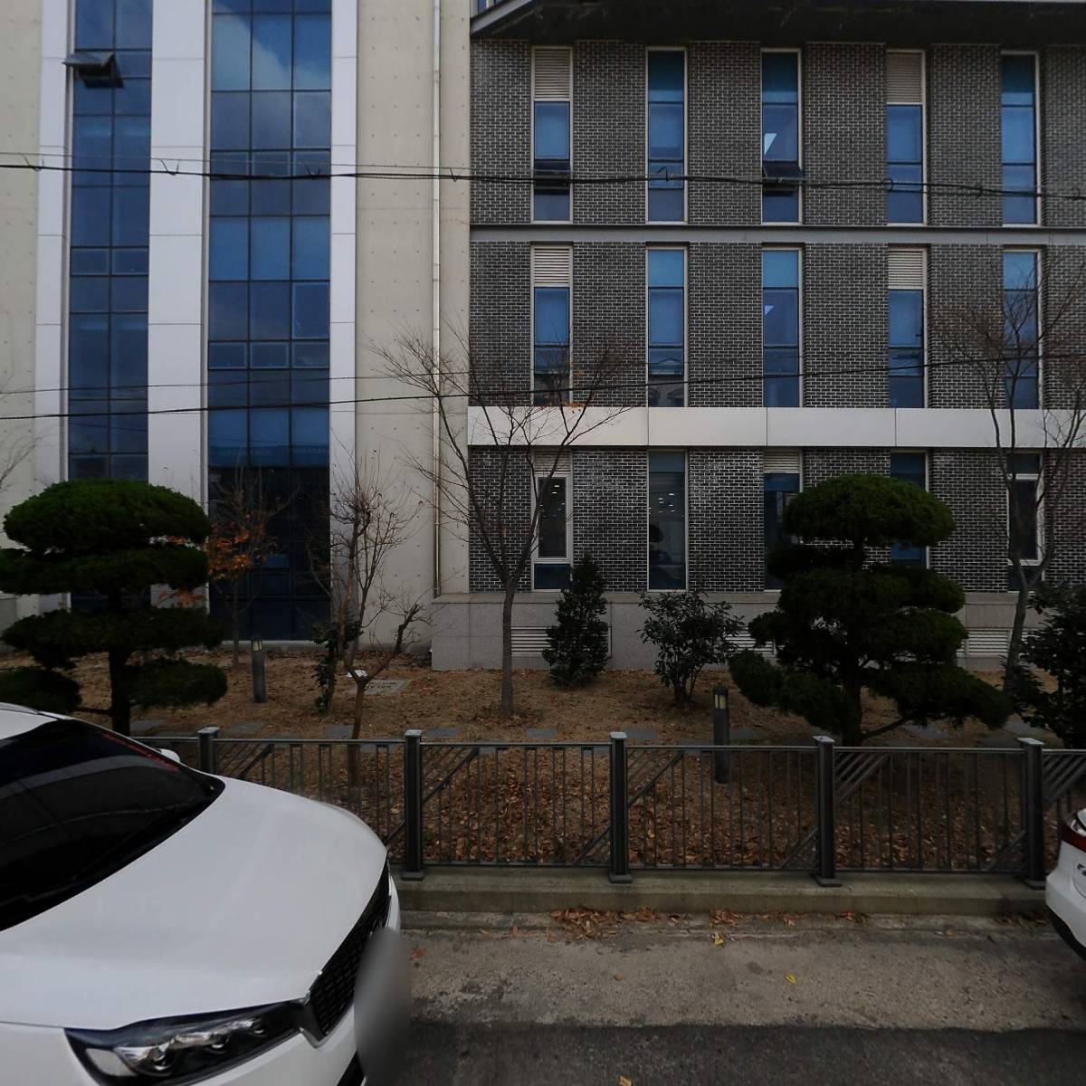 세무법인대경영일만지사_3