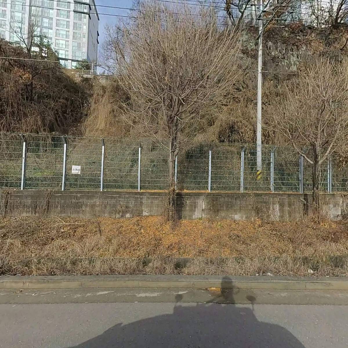 대성건재