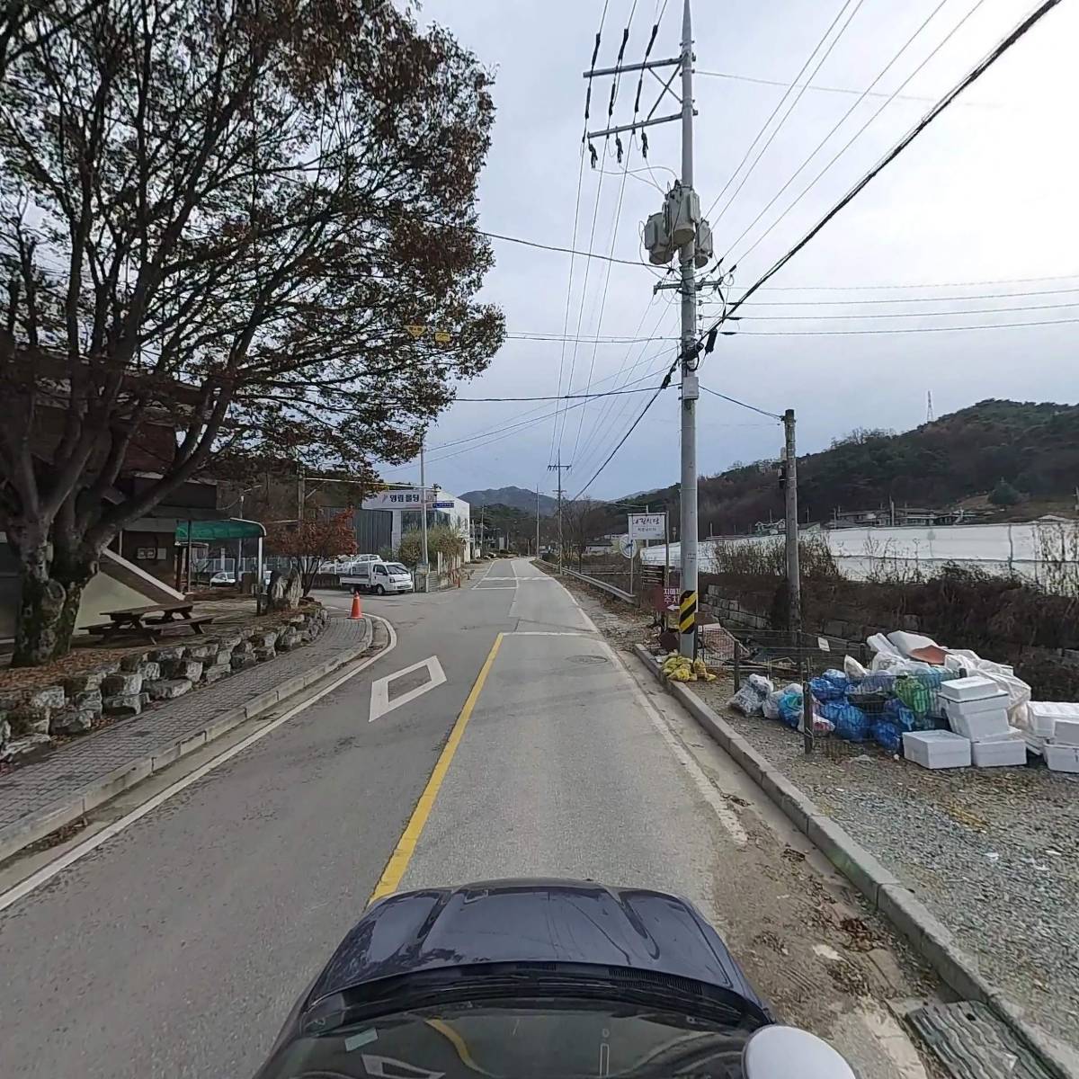 (주)금성엘리베이터_4