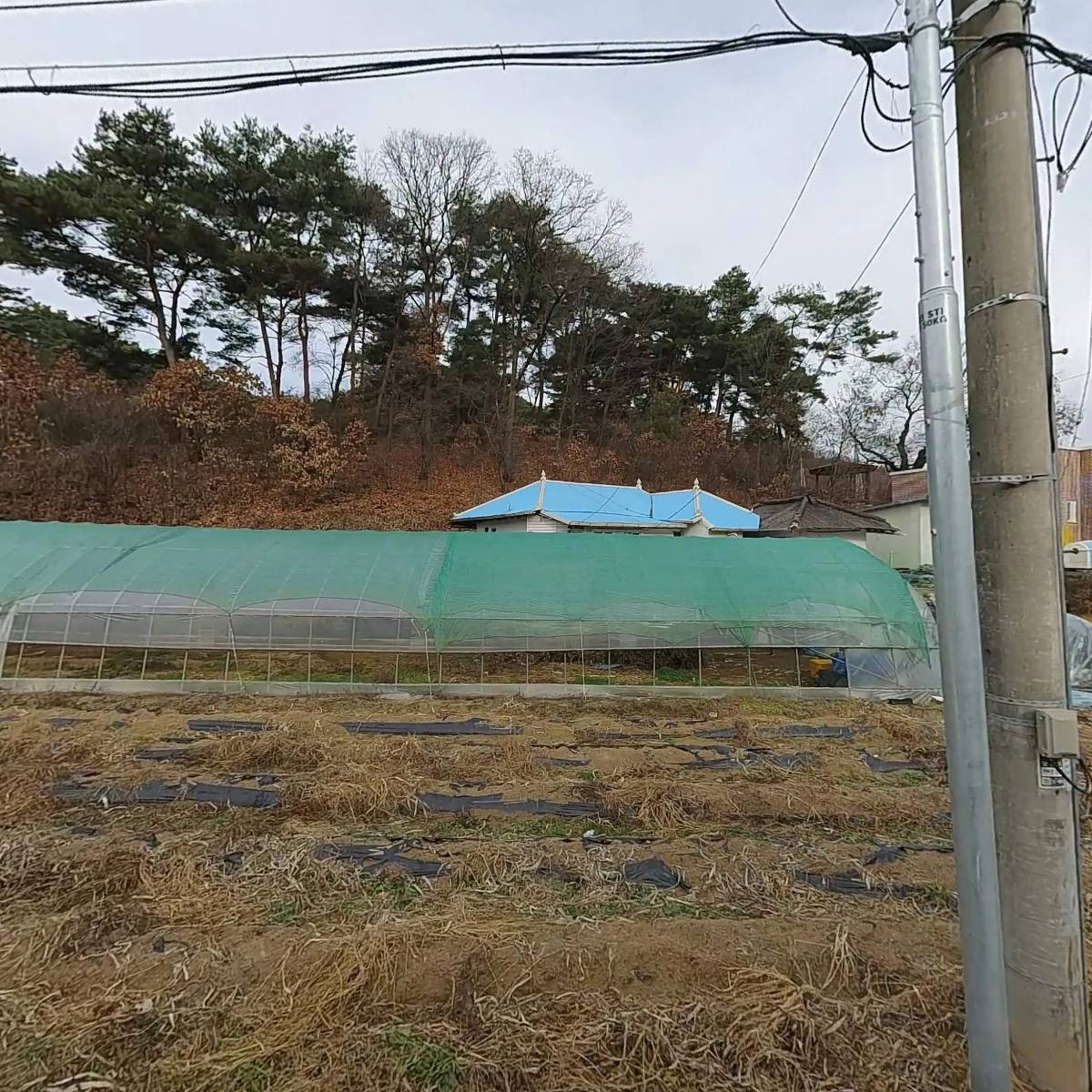 폴스웨이커피공장