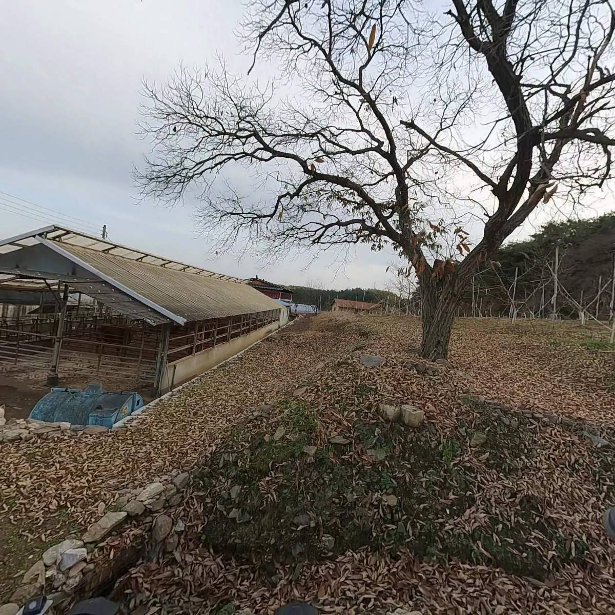 춘천고등학교 문인회