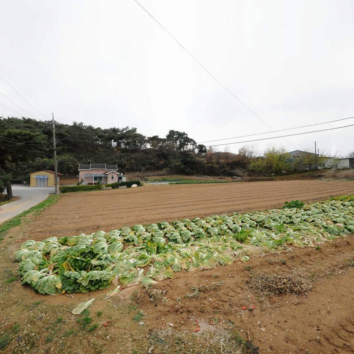 마동초등학교