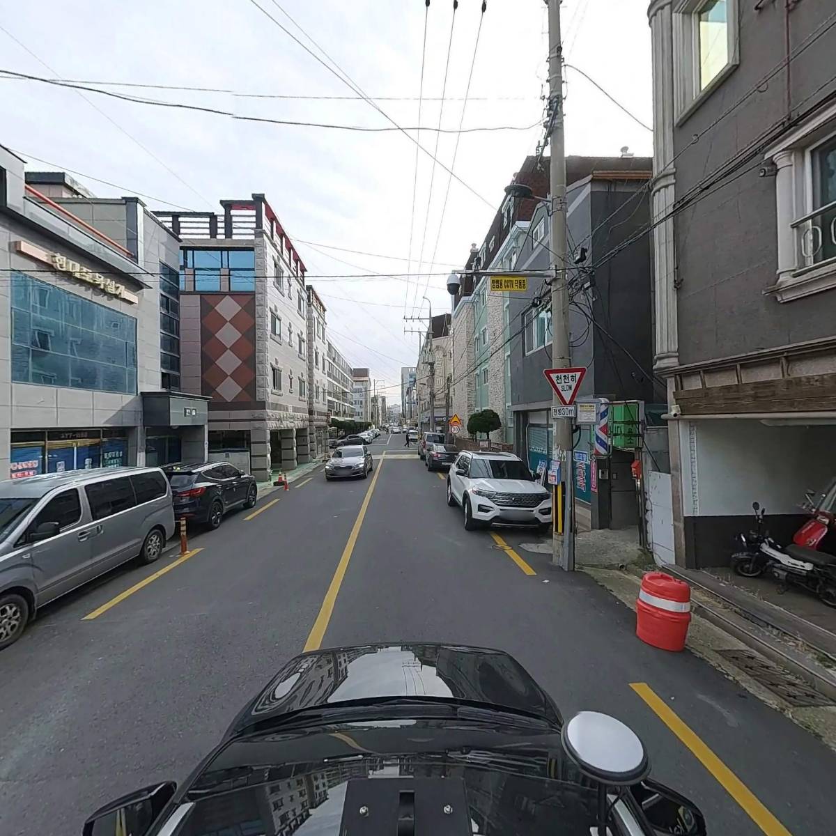 포항국화원_4