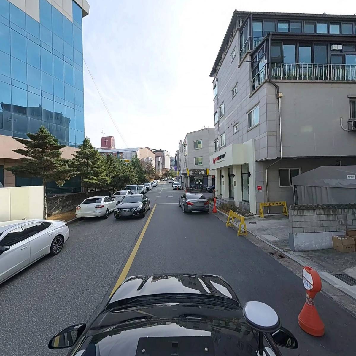행복드림동물병원_4