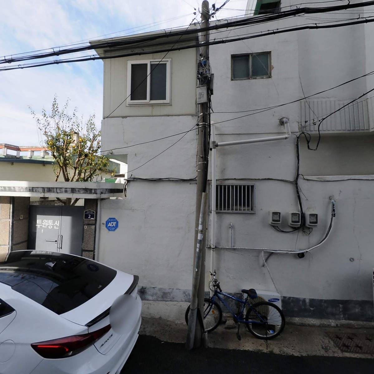 임초약국