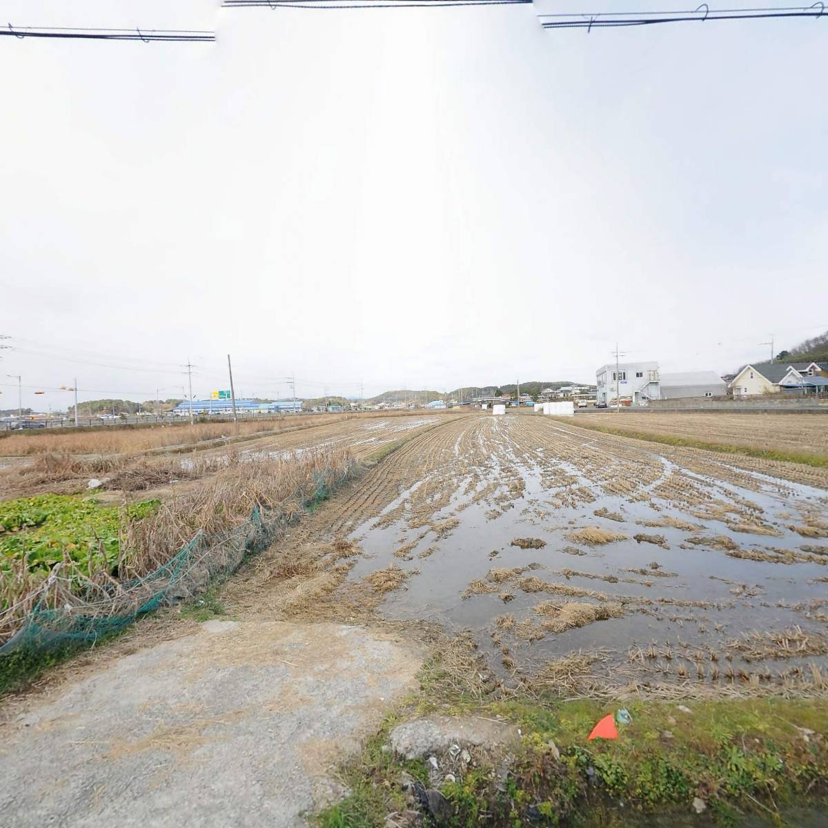 장항초등학교