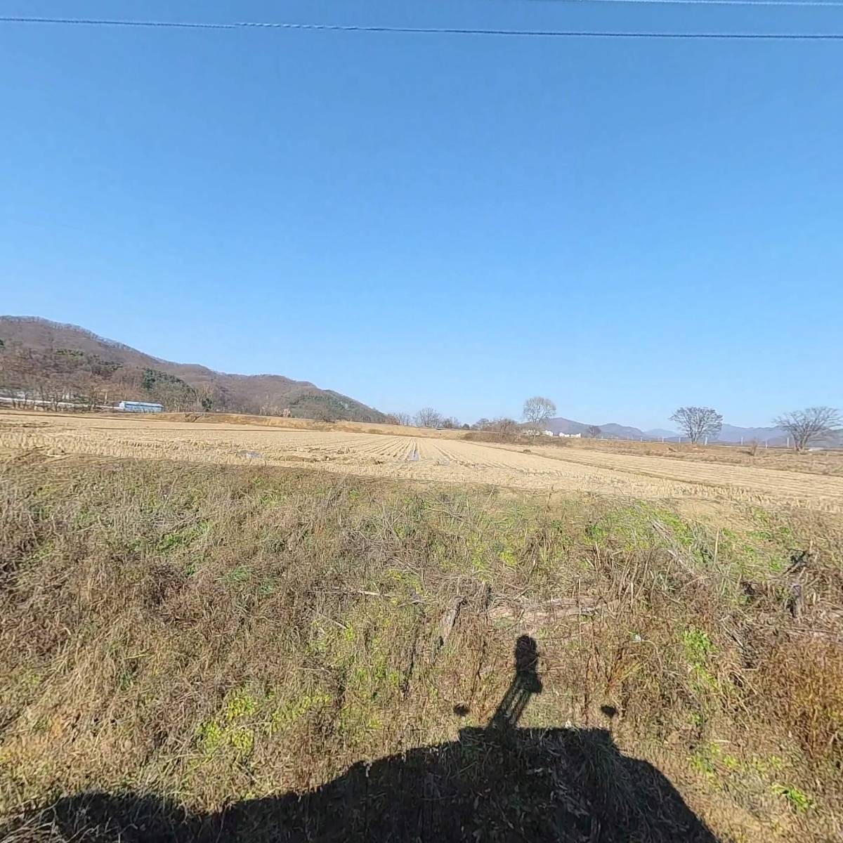 (주)연천북방산개구리농장