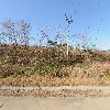(주)서래원