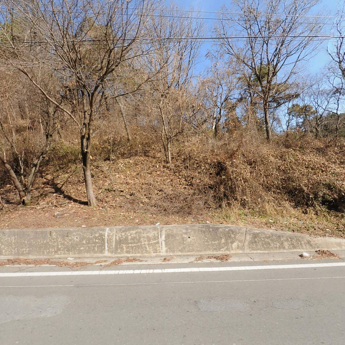 농업회사법인 주식회사 시골집_3