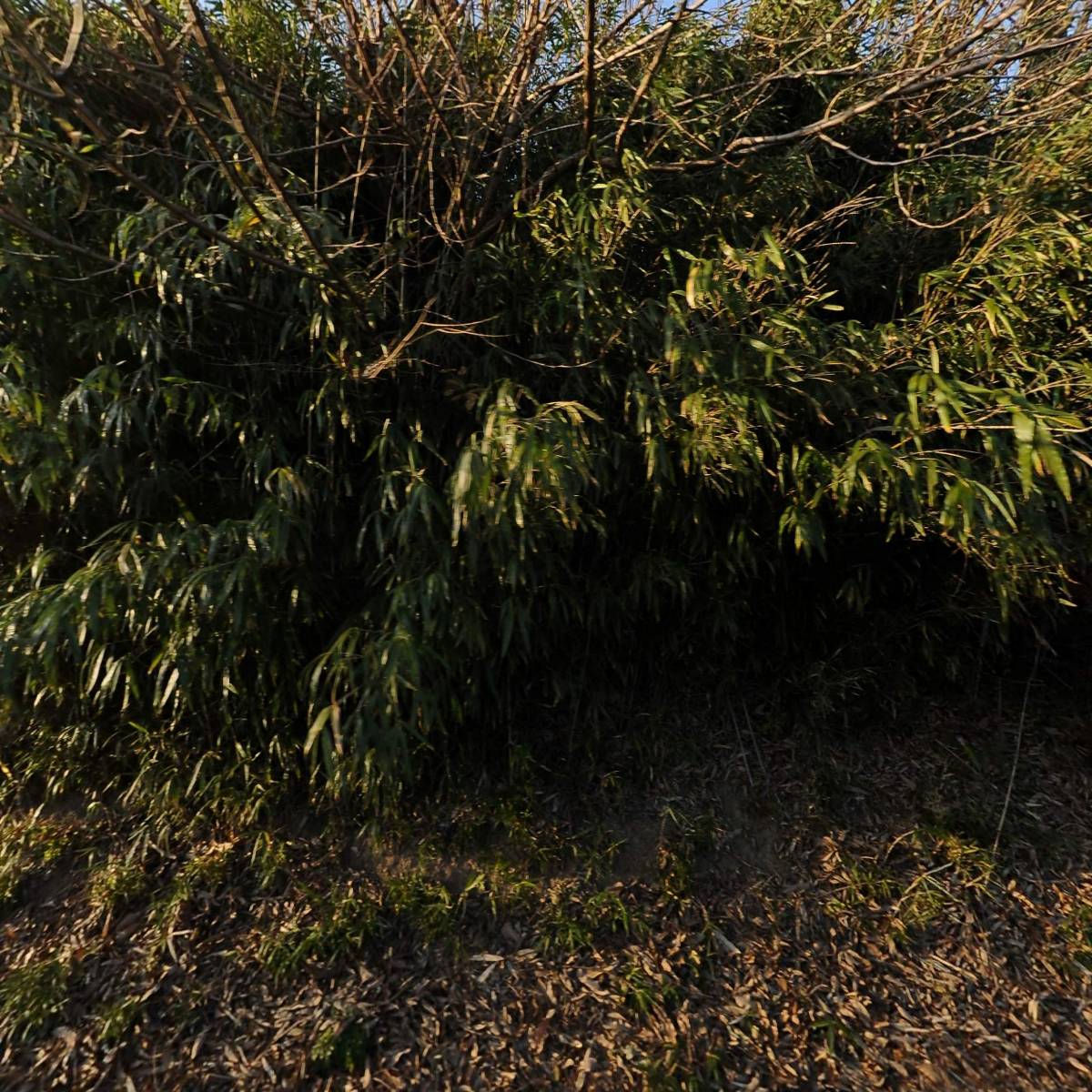 뉴신일주유소_3