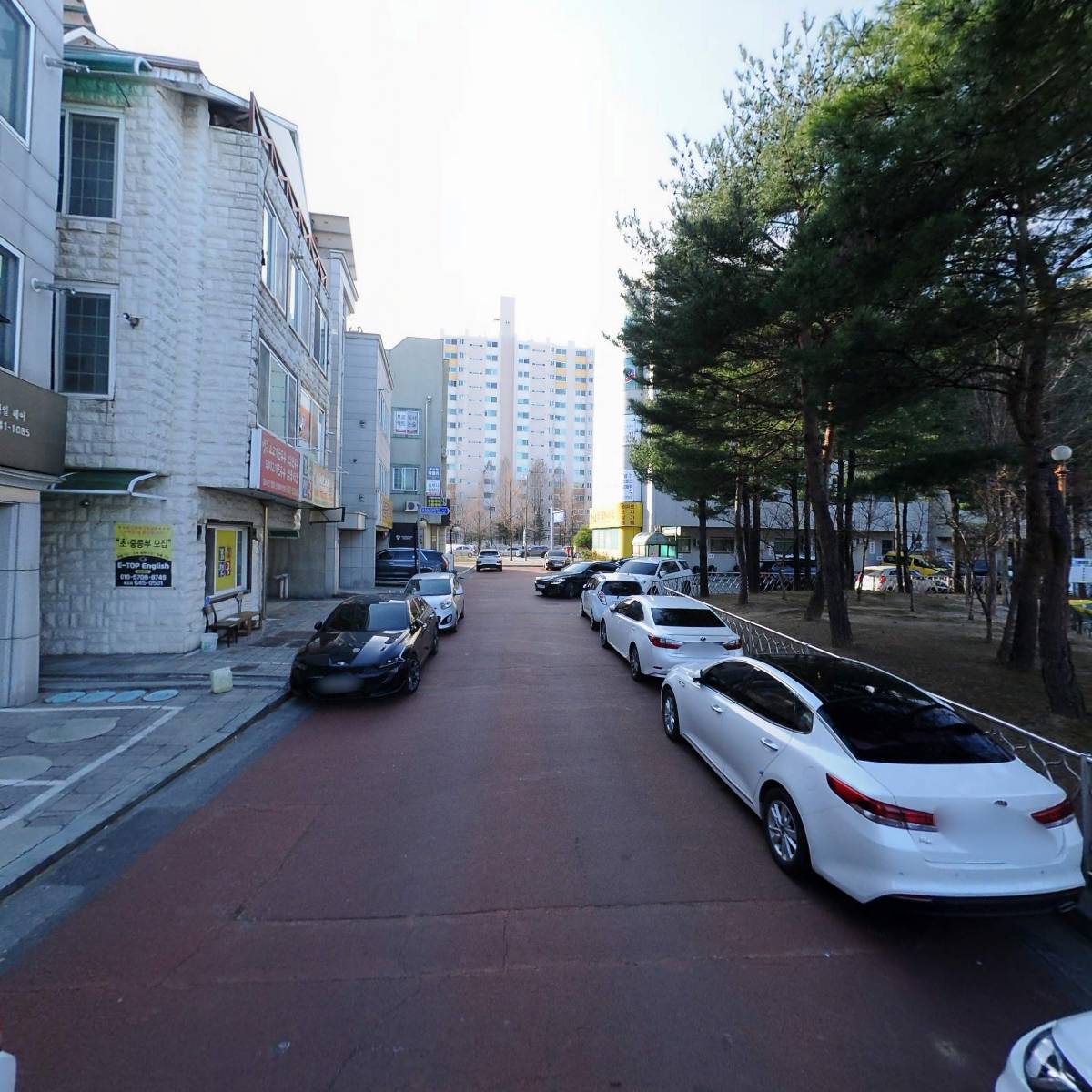 임계명품사과협동조합_2