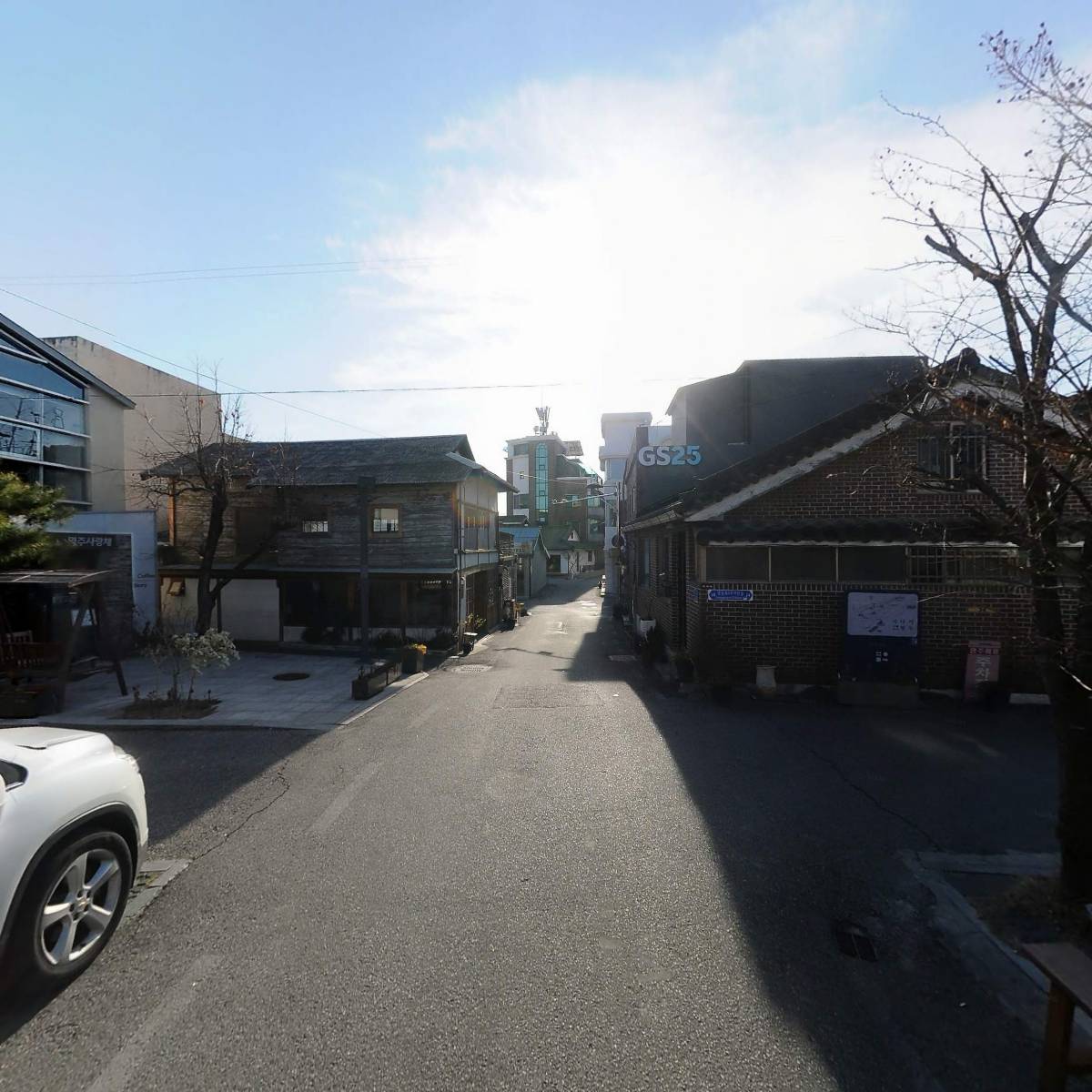 명주배롱_2