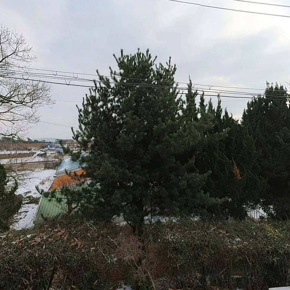 나은건설(유)
