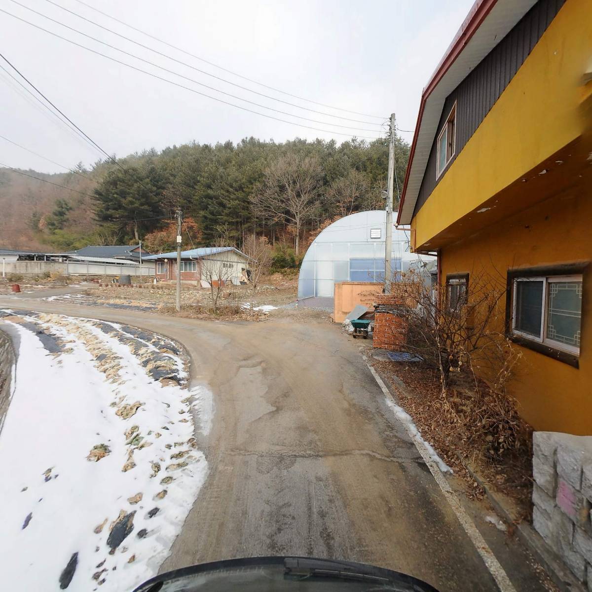 들꽃된장_2