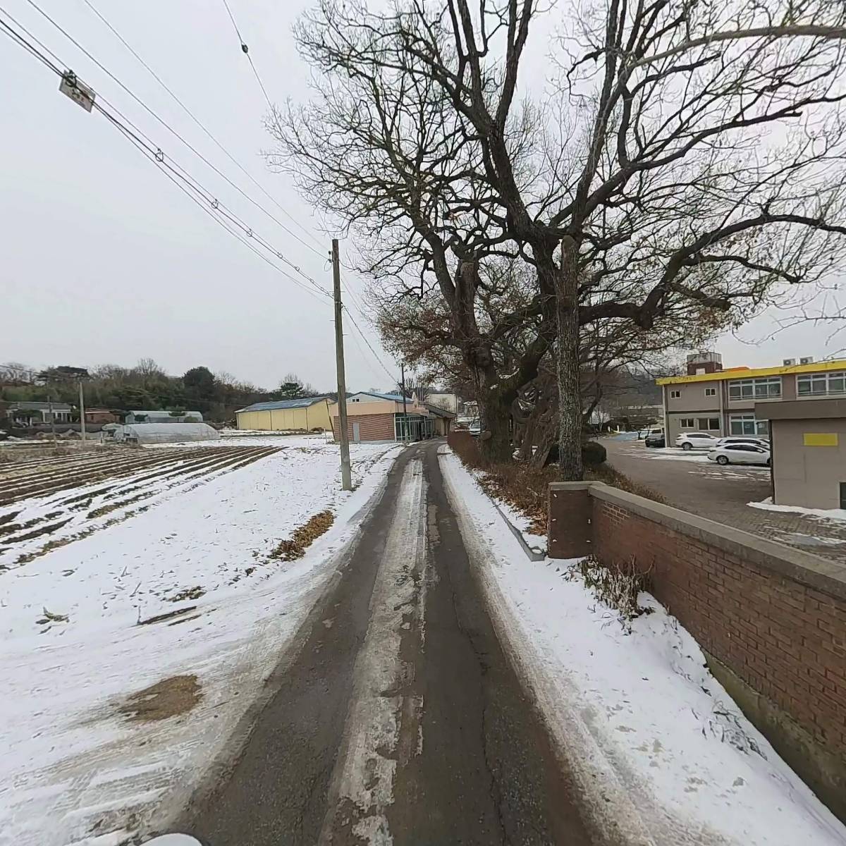 대정초등학교_2