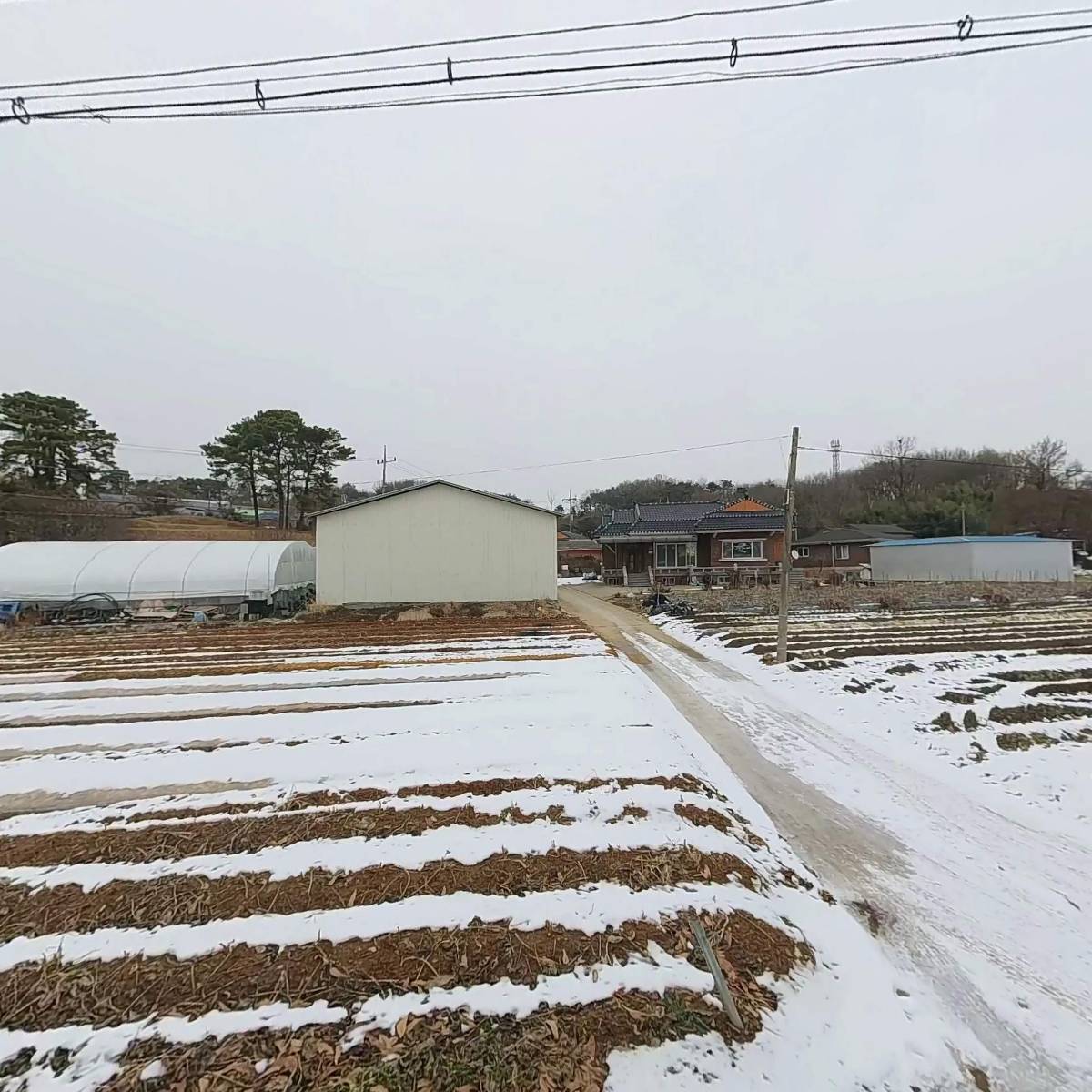 대정초등학교