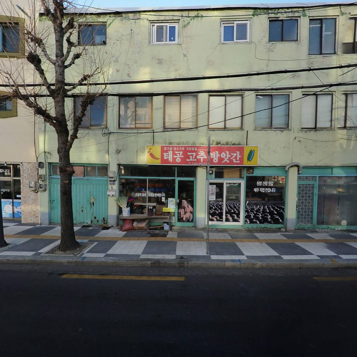 민들레동물병원