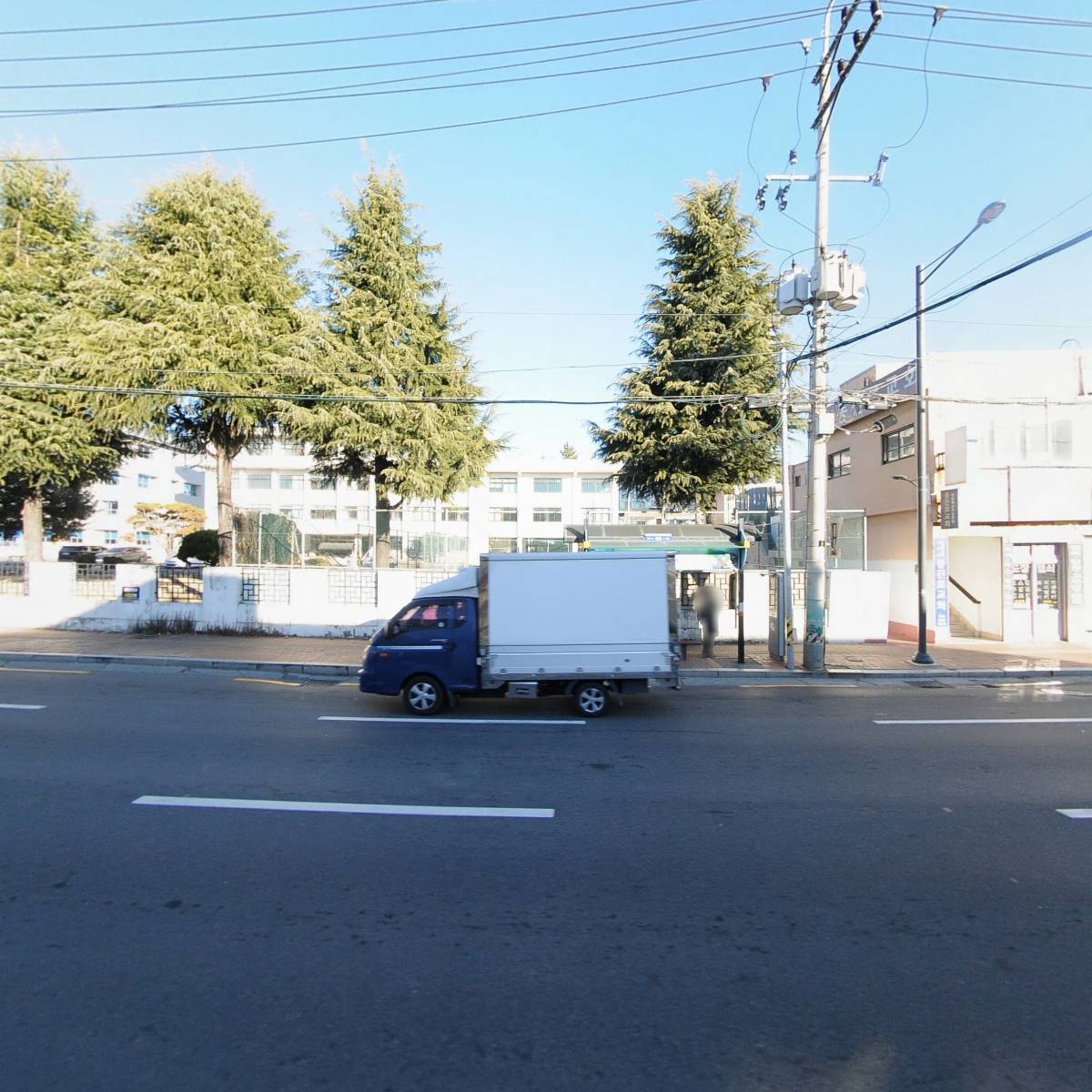 우담화_3
