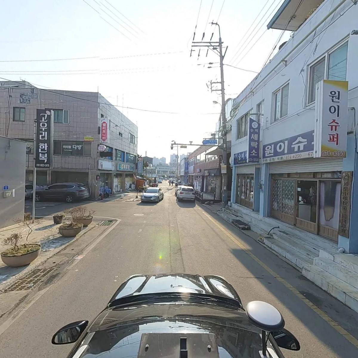 안면황금돼지_4